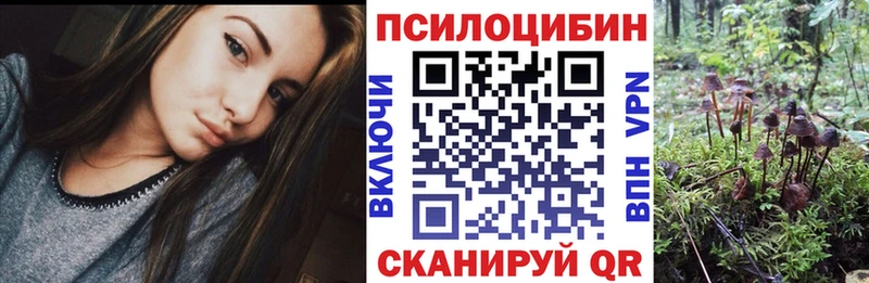 Псилоцибиновые грибы MAGIC MUSHROOMS  Грязовец 